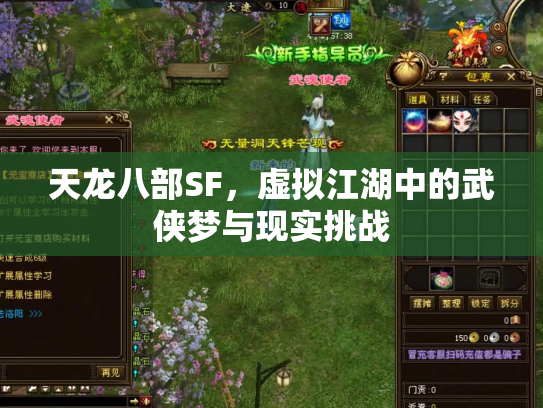 天龙八部SF，虚拟江湖中的武侠梦与现实挑战