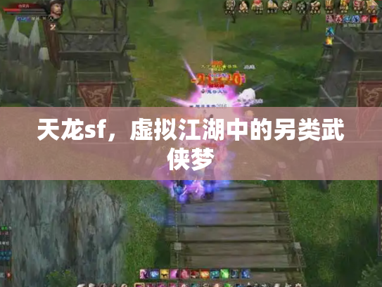 天龙sf，虚拟江湖中的另类武侠梦