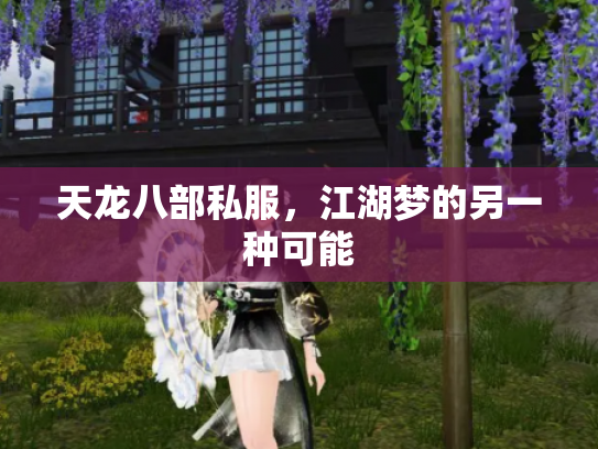 天龙八部私服，江湖梦的另一种可能