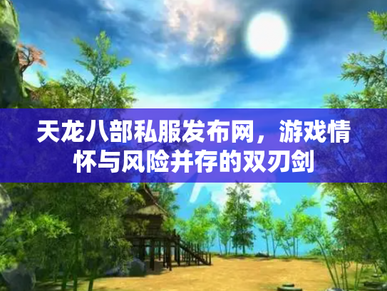 天龙八部私服发布网，游戏情怀与风险并存的双刃剑