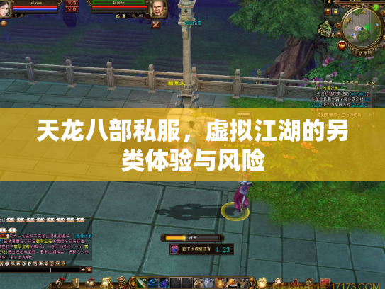 天龙八部私服，虚拟江湖的另类体验与风险