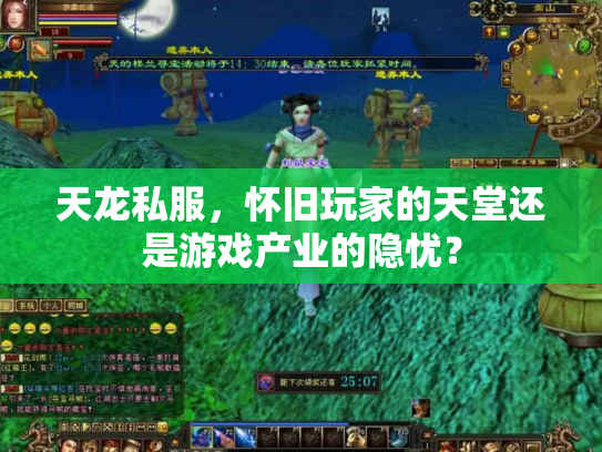 天龙私服，怀旧玩家的天堂还是游戏产业的隐忧？