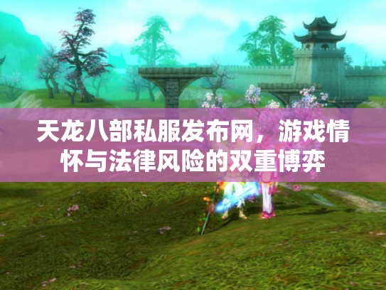 天龙八部私服发布网，游戏情怀与法律风险的双重博弈