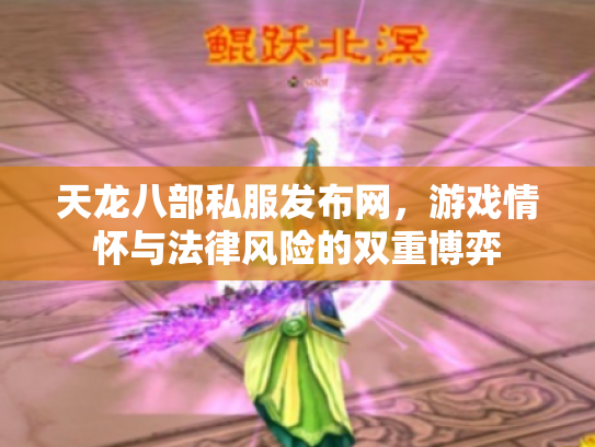 天龙八部私服发布网，游戏情怀与法律风险的双重博弈
