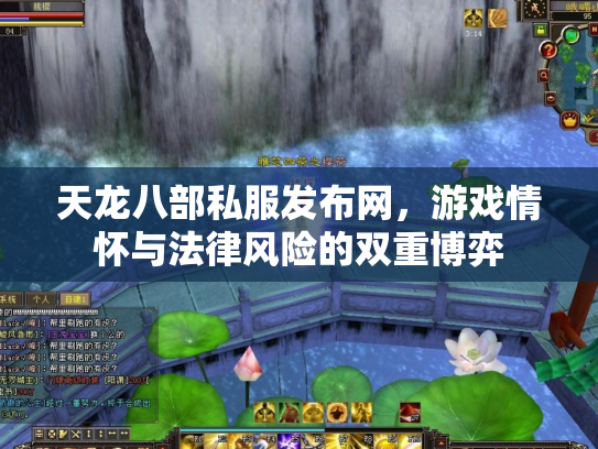 天龙八部私服发布网，游戏情怀与法律风险的双重博弈