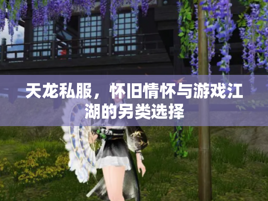 天龙私服，怀旧情怀与游戏江湖的另类选择