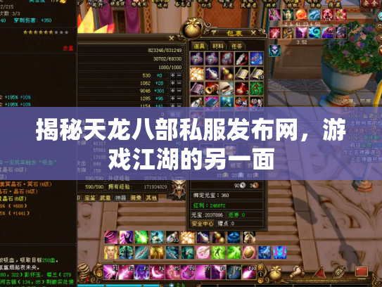 揭秘天龙八部私服发布网，游戏江湖的另一面
