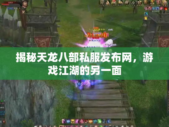 揭秘天龙八部私服发布网，游戏江湖的另一面