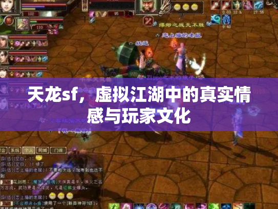 天龙sf，虚拟江湖中的真实情感与玩家文化