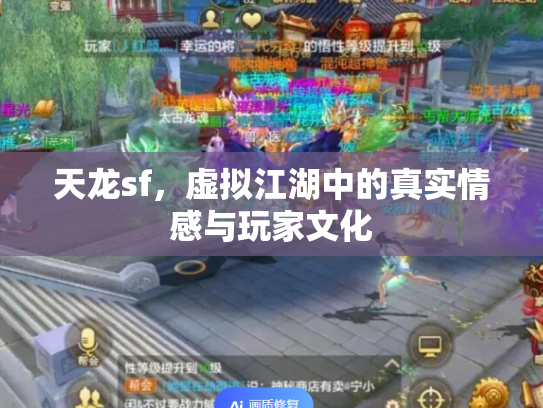 天龙sf，虚拟江湖中的真实情感与玩家文化