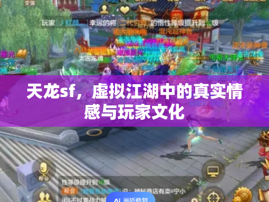 天龙sf，虚拟江湖中的真实情感与玩家文化