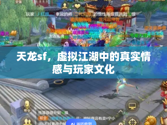 天龙sf，虚拟江湖中的真实情感与玩家文化