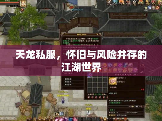 天龙私服，怀旧与风险并存的江湖世界