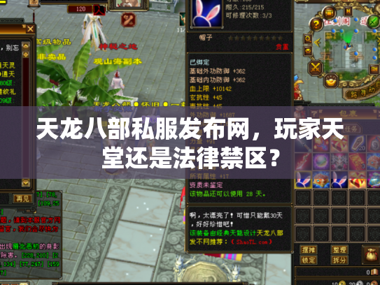 天龙八部私服发布网，玩家天堂还是法律禁区？