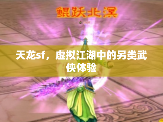 天龙sf，虚拟江湖中的另类武侠体验