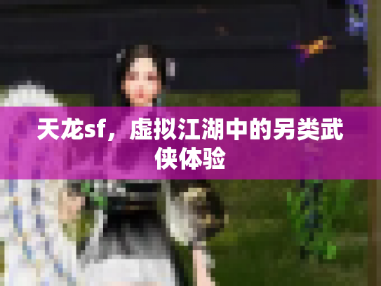 天龙sf，虚拟江湖中的另类武侠体验
