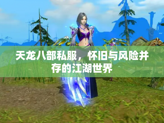 天龙八部私服，怀旧与风险并存的江湖世界