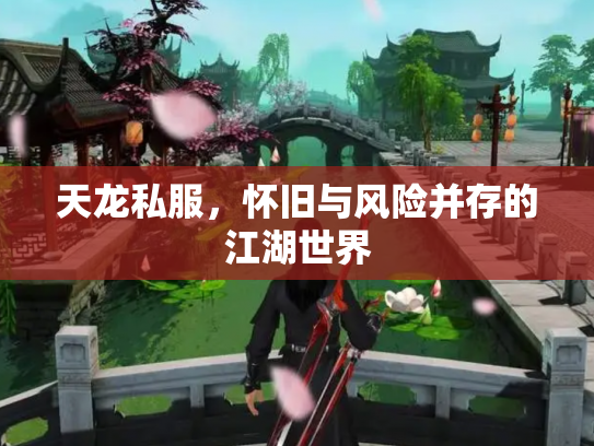 天龙私服，怀旧与风险并存的江湖世界