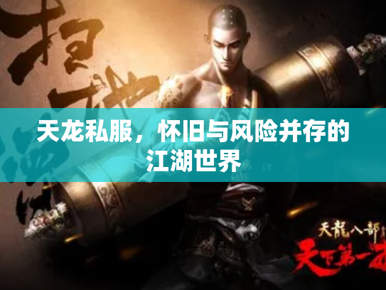 天龙私服，怀旧与风险并存的江湖世界
