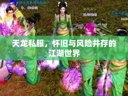 天龙私服，怀旧与风险并存的江湖世界