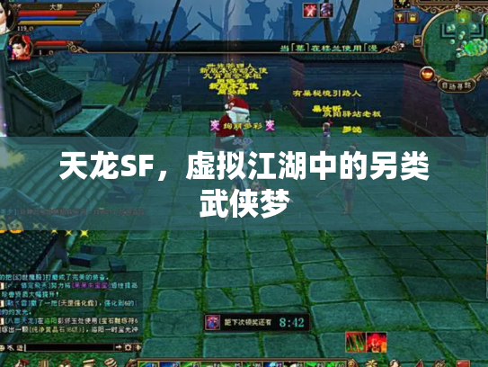 天龙SF，虚拟江湖中的另类武侠梦