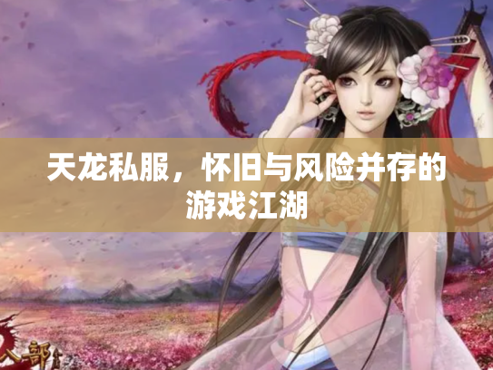 天龙私服，怀旧与风险并存的游戏江湖