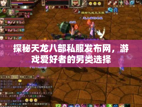 探秘天龙八部私服发布网，游戏爱好者的另类选择