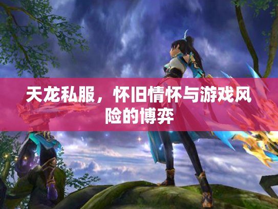 天龙私服，怀旧情怀与游戏风险的博弈