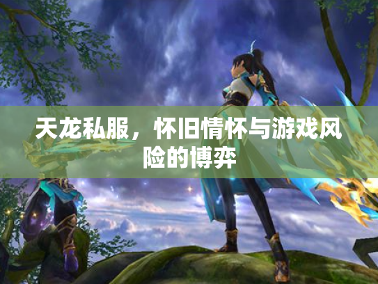 天龙私服，怀旧情怀与游戏风险的博弈