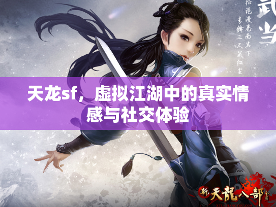 天龙sf，虚拟江湖中的真实情感与社交体验