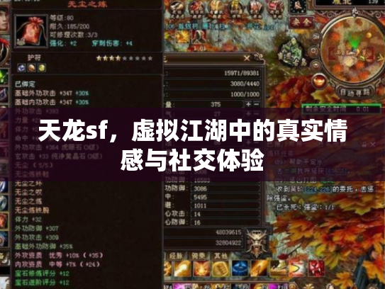 天龙sf，虚拟江湖中的真实情感与社交体验
