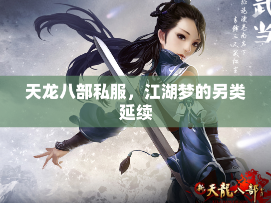 天龙八部私服，江湖梦的另类延续