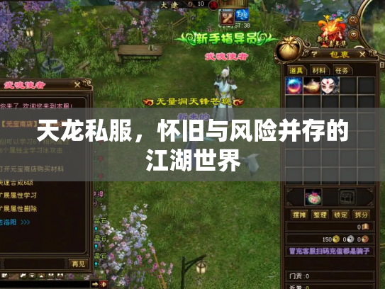 天龙私服，怀旧与风险并存的江湖世界