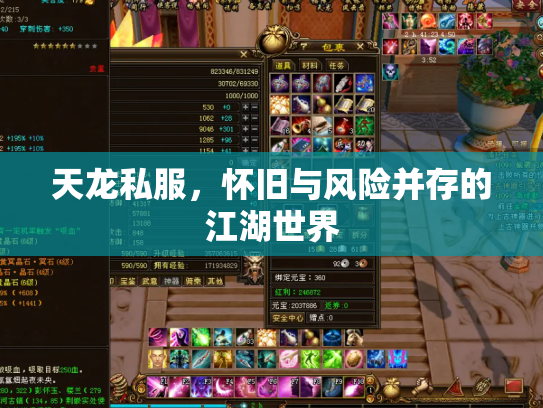天龙私服，怀旧与风险并存的江湖世界