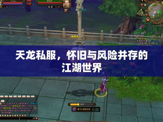 天龙私服，怀旧与风险并存的江湖世界