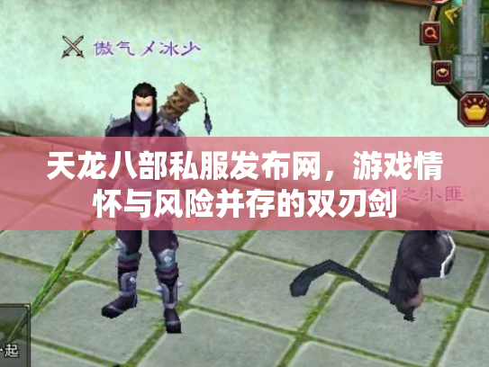 天龙八部私服发布网，游戏情怀与风险并存的双刃剑