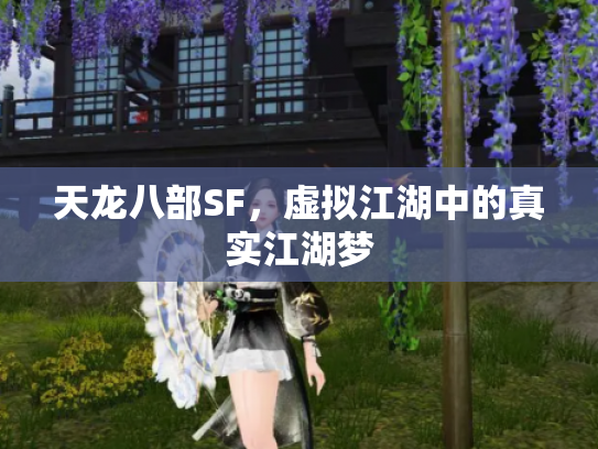天龙八部SF，虚拟江湖中的真实江湖梦