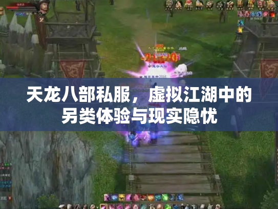 天龙八部私服，虚拟江湖中的另类体验与现实隐忧