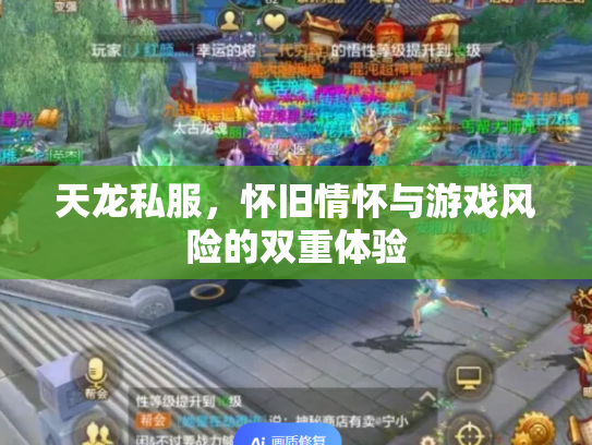 天龙私服，怀旧情怀与游戏风险的双重体验