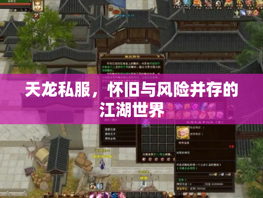 天龙私服，怀旧与风险并存的江湖世界