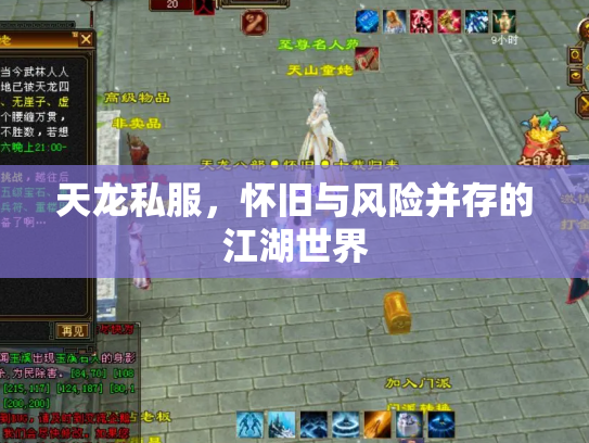 天龙私服，怀旧与风险并存的江湖世界