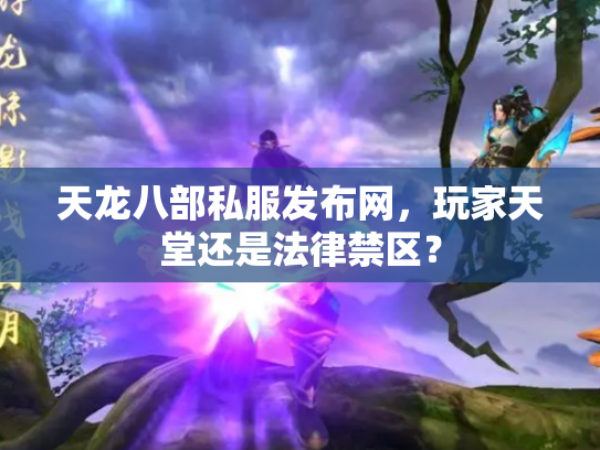 天龙八部私服发布网，玩家天堂还是法律禁区？