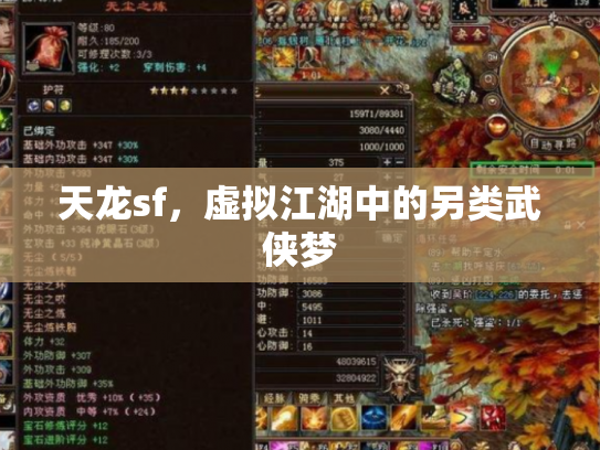 天龙sf，虚拟江湖中的另类武侠梦