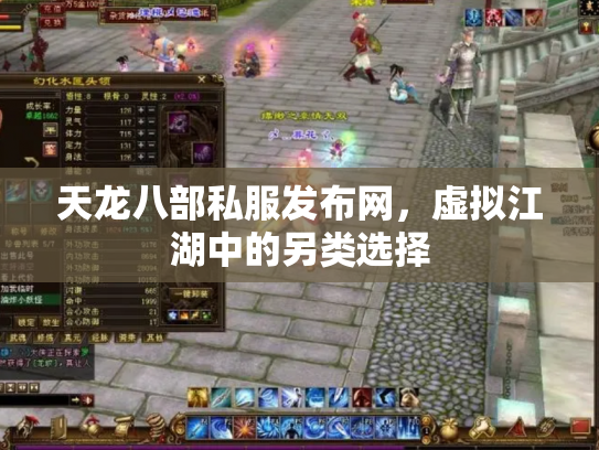 天龙八部私服发布网，虚拟江湖中的另类选择
