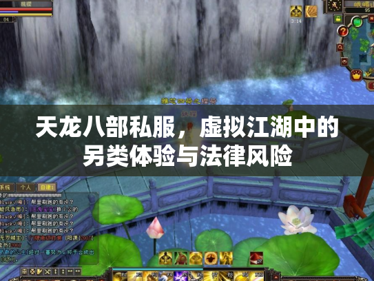 天龙八部私服，虚拟江湖中的另类体验与法律风险