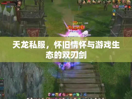 天龙私服，怀旧情怀与游戏生态的双刃剑
