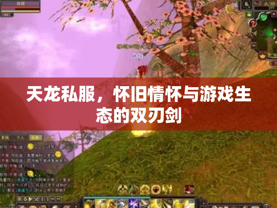 天龙私服，怀旧情怀与游戏生态的双刃剑