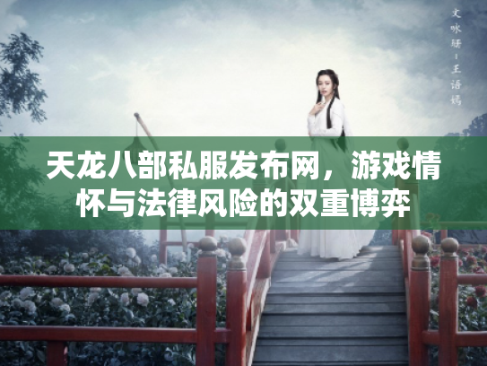 天龙八部私服发布网，游戏情怀与法律风险的双重博弈