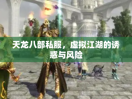 天龙八部私服，虚拟江湖的诱惑与风险