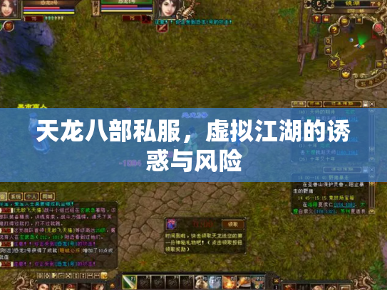 天龙八部私服，虚拟江湖的诱惑与风险